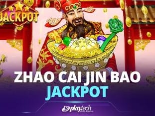 Zhao Cai Jin Bao game cover